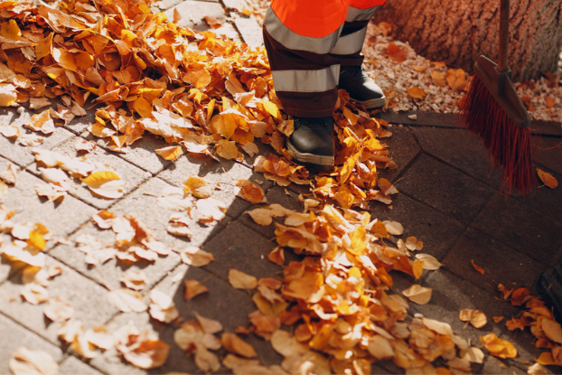 ramassage de feuille sur terrasse